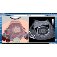 OBGYN_3
