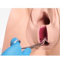 61102-anal_sphincter_repair_trainer-light-02