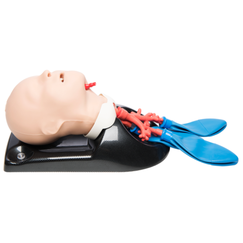 AirSim Child Bronchi X
