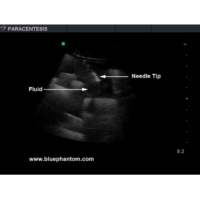 BPPara1301_5