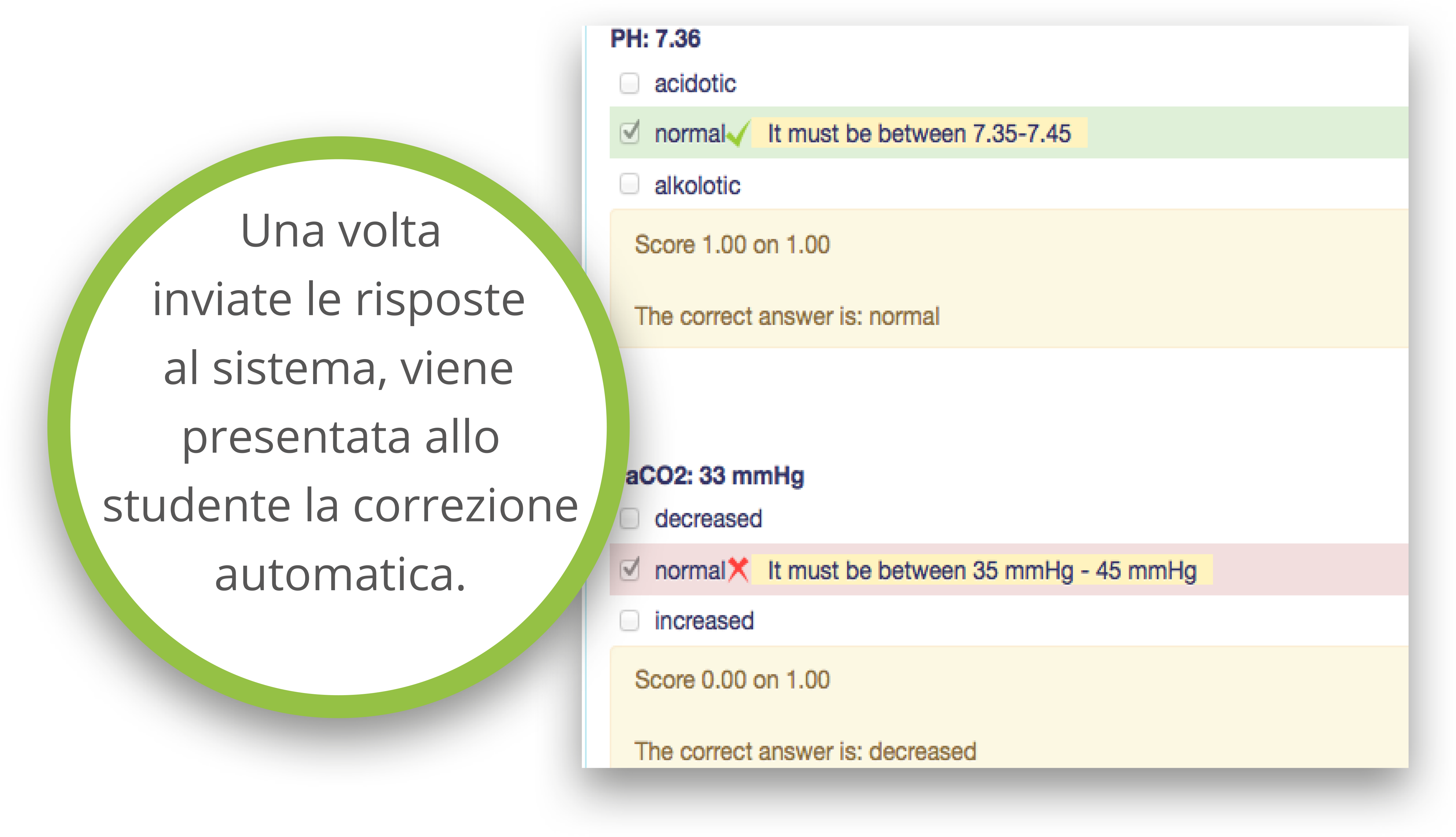 correzione