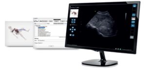 obgyn 2023