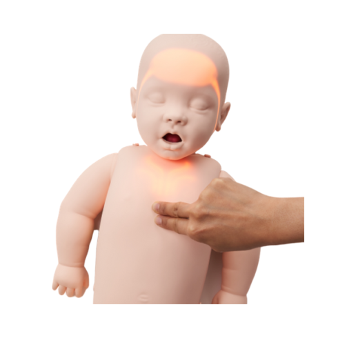 Brayden Baby Advanced