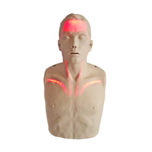 Brayden Advanced Manichino BLS Mezzobusto Adulto