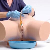 60851_female_catheterization_trainer-04