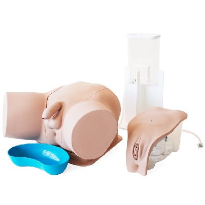 60853_standard_catheterization_trainer_set-01