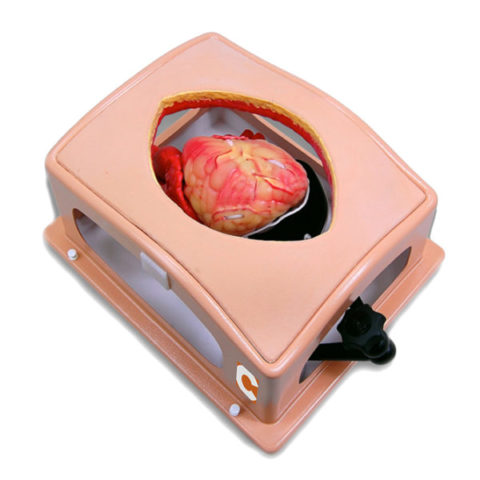Box trainer per skill cardiochirurgici di base 1