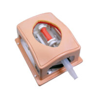 Box trainer per skill cardiochirurgici di base 2