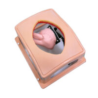 Box trainer per skill cardiochirurgici di base 3