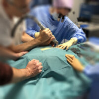 Simulatore ad Alta Fedeltà per il Training Chirurgico Cardiotoracico 7