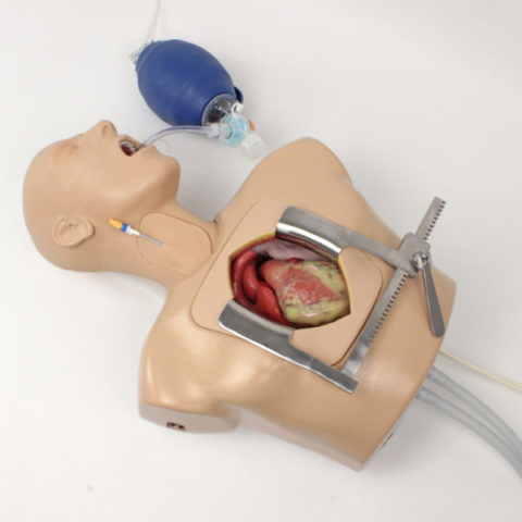 Simulatore di cuore battente per ECMO 1