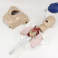 Simulatore di cuore battente per ECMO 3