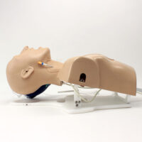 Simulatore di cuore battente per ECMO 5