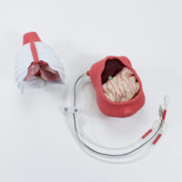 Surgical Sam - Simulatore Pediatrico per il Training in Chirurgia Generale 5