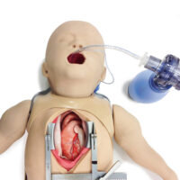 Surgical sam 2