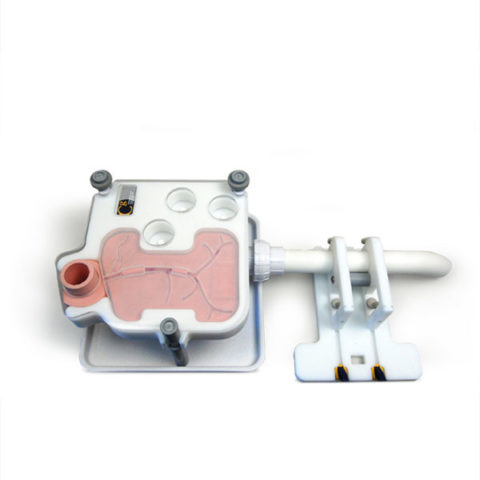 Trainer ERCP (Colangiopancreatografia Endoscopica Retrograda) 1