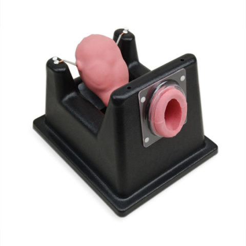 Trainer chirurgia uterina 1