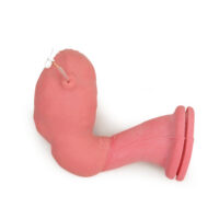 Trainer chirurgia uterina 3