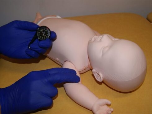 Brayden Baby PRO - immagine 7
