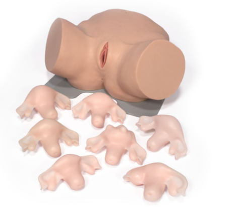ModelMed1