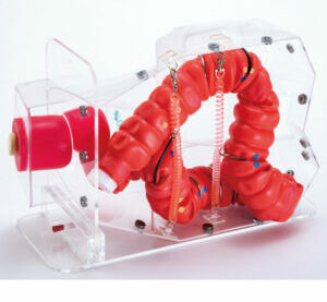 11403-000_mw24_01