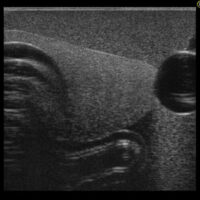 41947-000_us-20_02