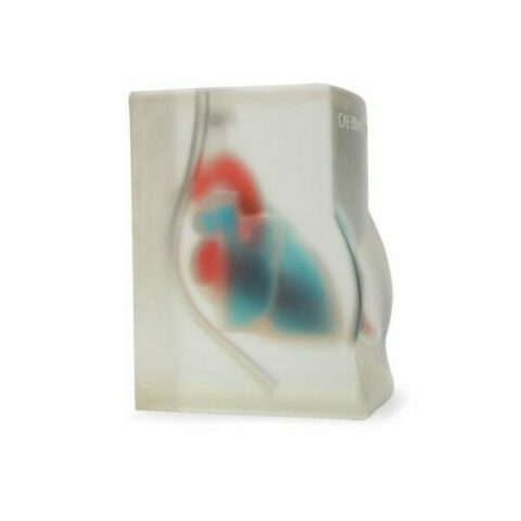 Cardiac