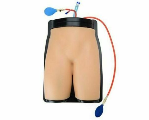 Femoral_2
