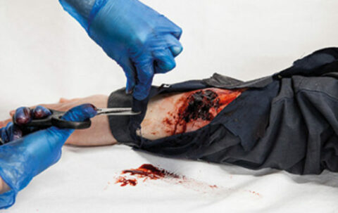 SIMBODIES-Arm-SIMSLEEVES-3-595x375