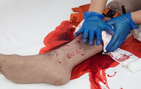 SIMBODIES-Full-Leg-TT-Img-2-595x375