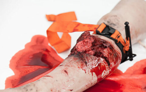 SIMBODIES-Full-Leg-TT-Img-3-595x375
