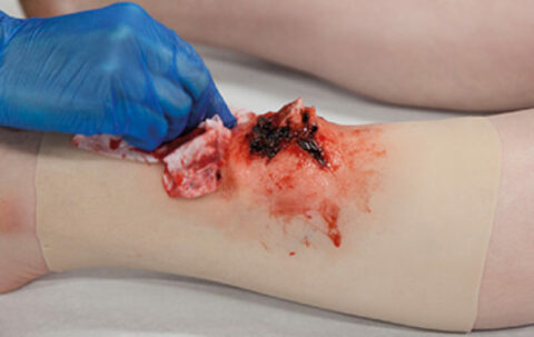 SIMBODIES-Leg-SIMSLEEVE-595x375