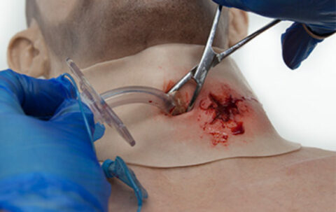 SIMBODIES-Neck-SIMSLEEVES-5-595x375