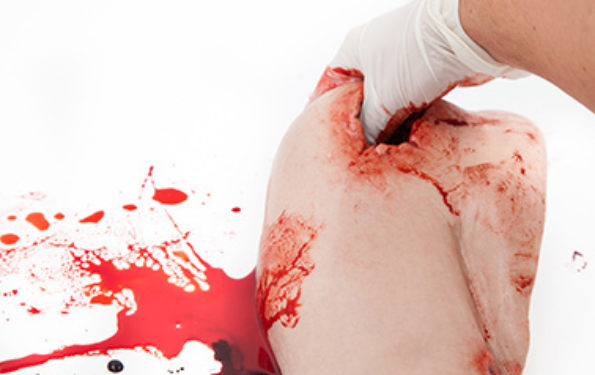 SIMBODIES-Shoulder-Wound-Packing-Trainer-Img-1-595x375