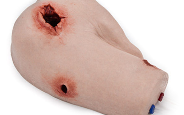 SIMBODIES-Shoulder-Wound-Packing-Trainer-Img-2-595x375