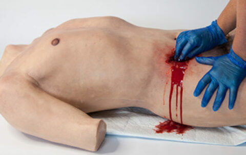 SIMBODIES-Torso-TT-Img-1-595x375