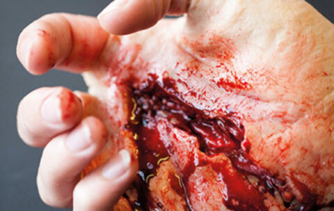 SIMBODIES-Various-Wounds-Kit-2-595x375