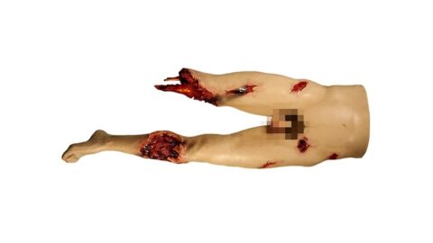 HEMO MANIKIN